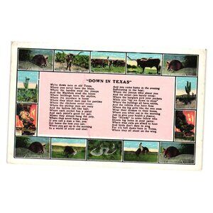 Vintage Postcard Down In Texas Rhyme E C Kropp Co Milwaukee No 25442
